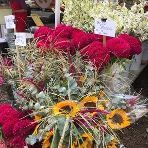 Meet your Posher, Patti